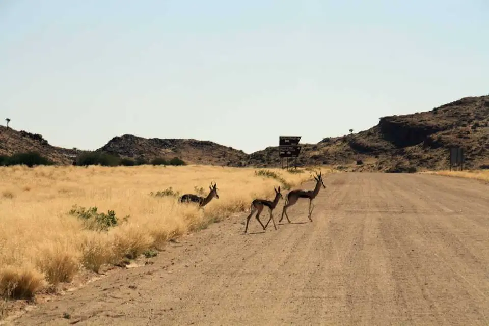 20120531Namibia6.Tag148.JPG