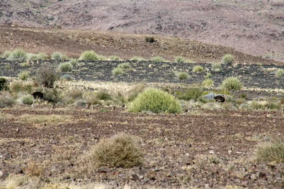20120531Namibia6.Tag295.JPG