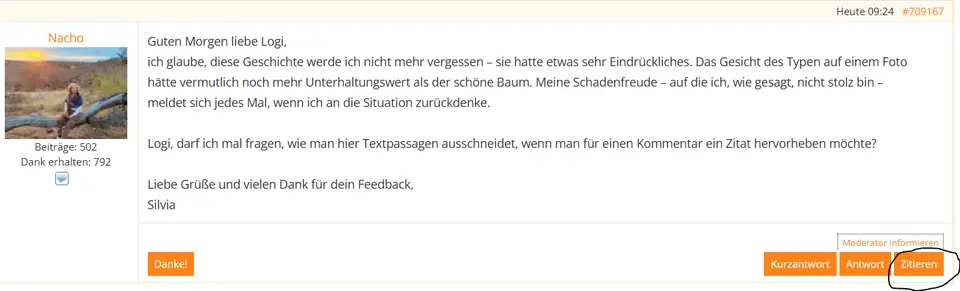 AAAZitieren.PNG