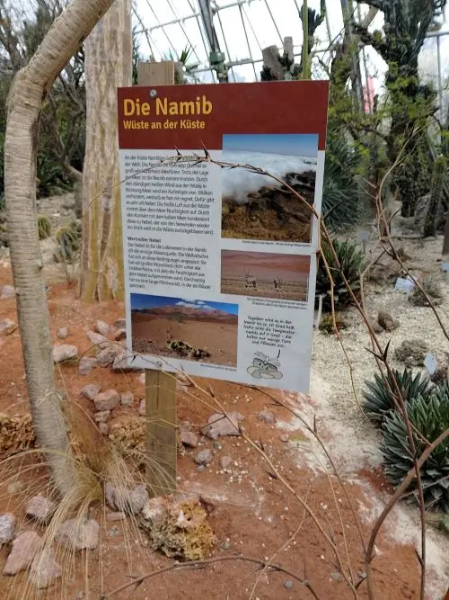 BGIMG_20240427_114553_HDR.jpg