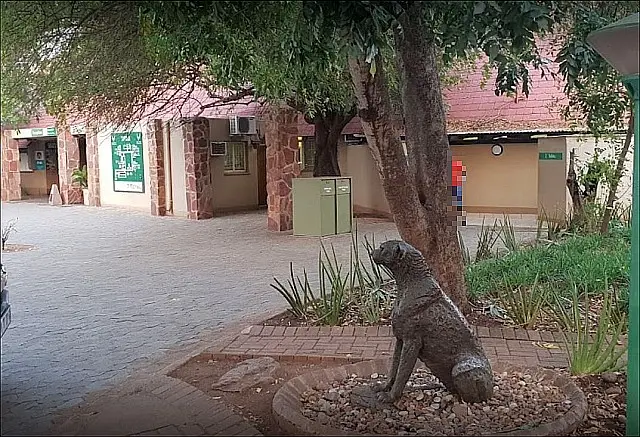Cheetah.JPG