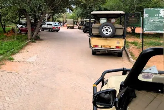 Chobe2.jpg