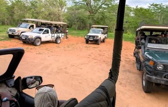 Chobe3.jpg