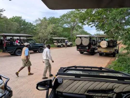 Chobe4.jpg