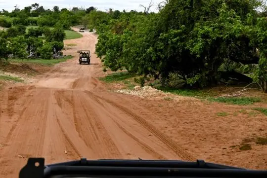 Chobe5.jpg