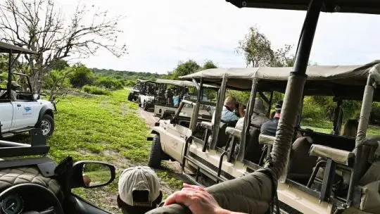 Chobe6.jpg
