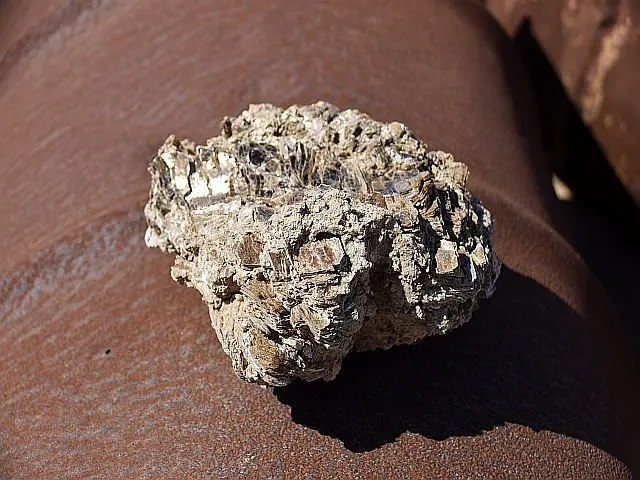 D56_4105.JPG