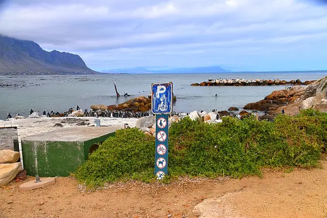 D56_7142.JPG