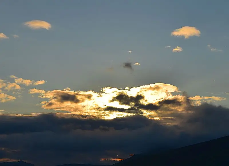 D56_7466.jpg