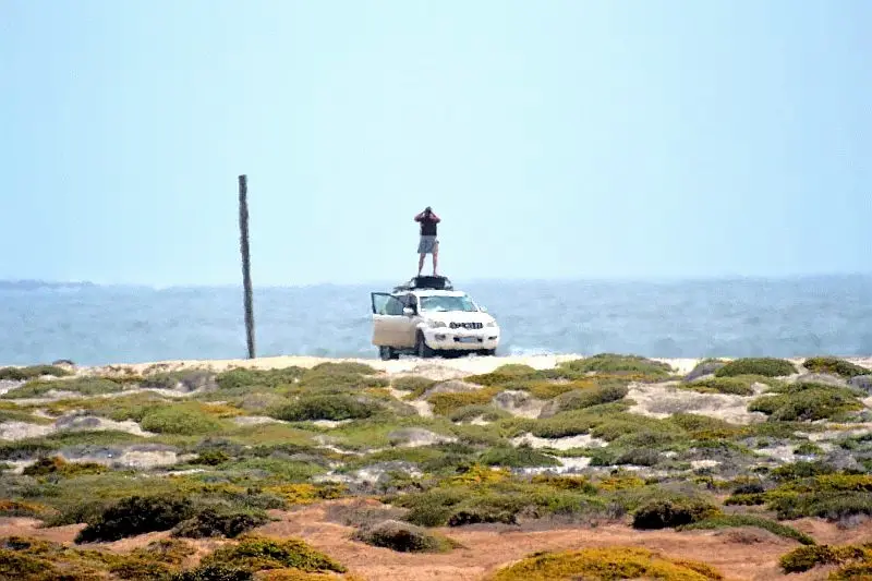 DSC_4148.jpg