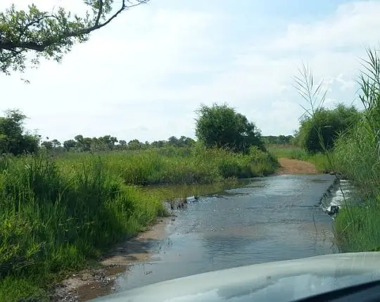 Dinokeng1.jpg