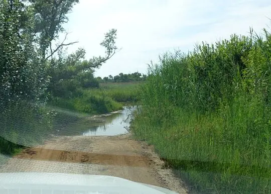 Dinokeng14.jpg