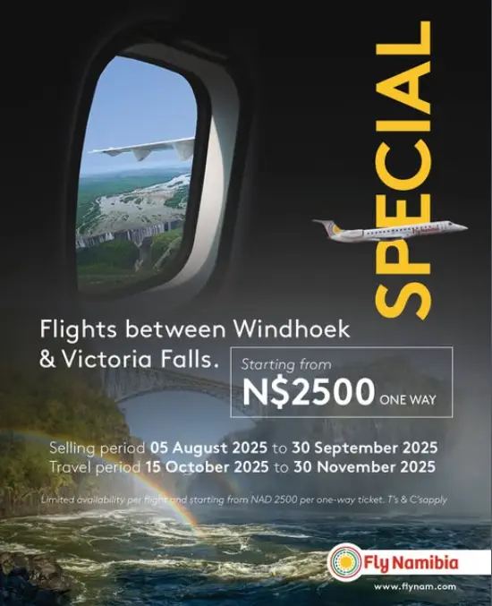 FlyNamibia.PNG