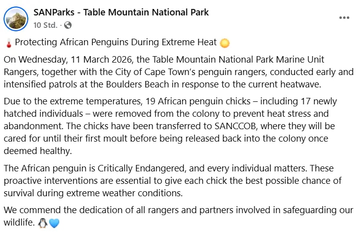 Pinguine.PNG