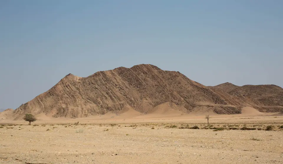 1-namiba-2017-8631.jpg