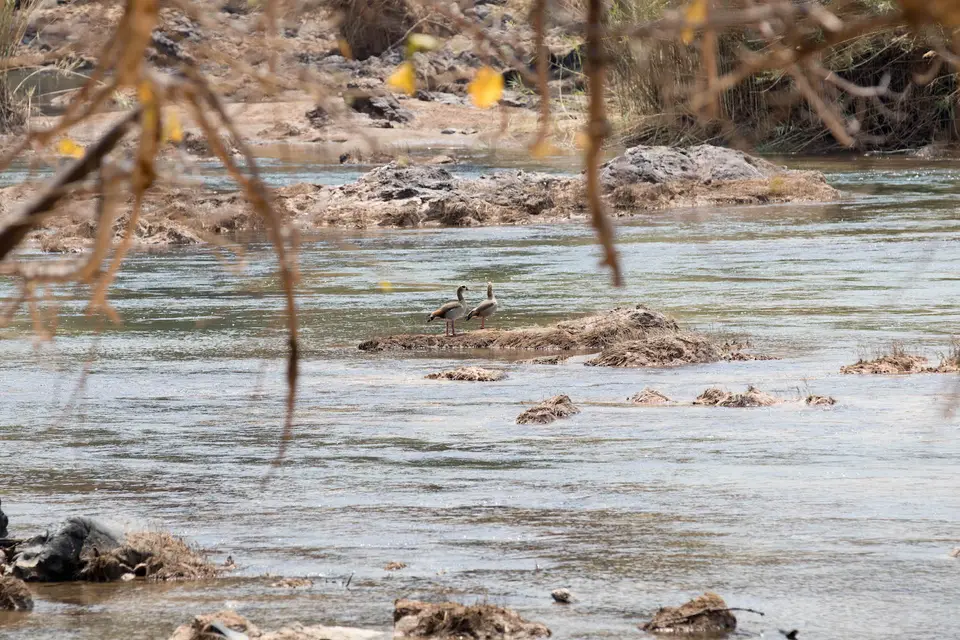 10-namiba-2017-5660.jpg