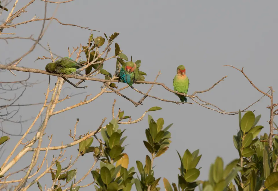 11-namiba-2017-4992.jpg