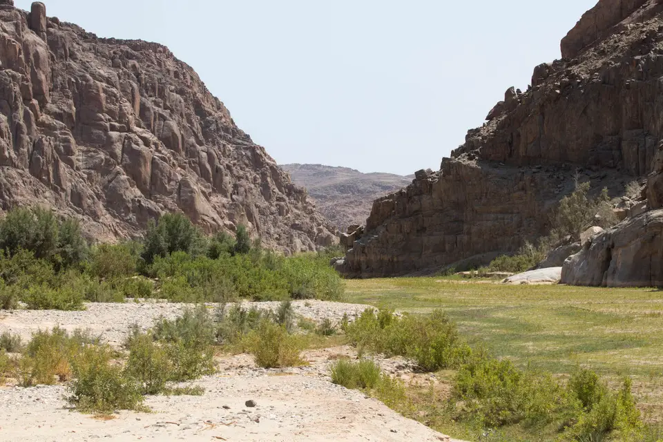 11-namiba-2017-5328.jpg