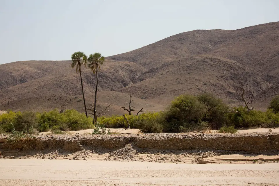 11-namiba-2017-8849.jpg
