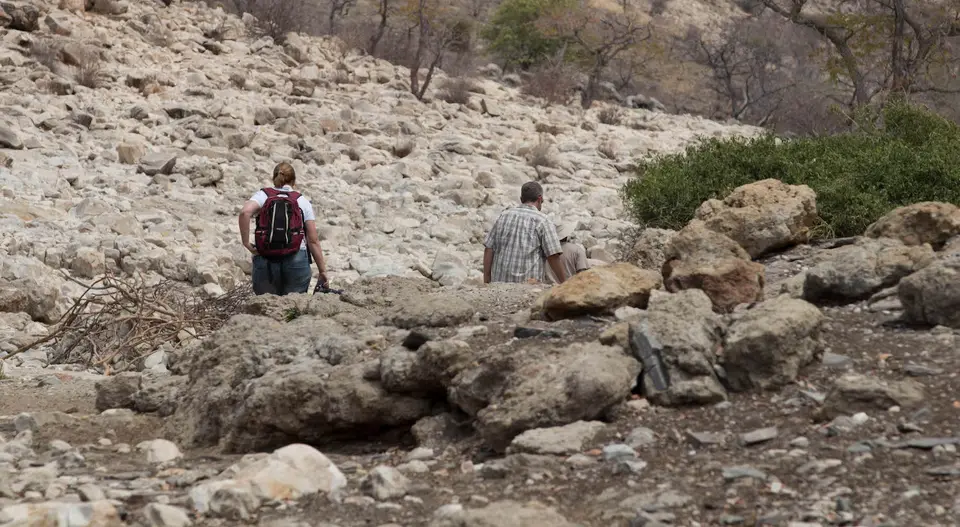 12-namiba-2017-5423.jpg