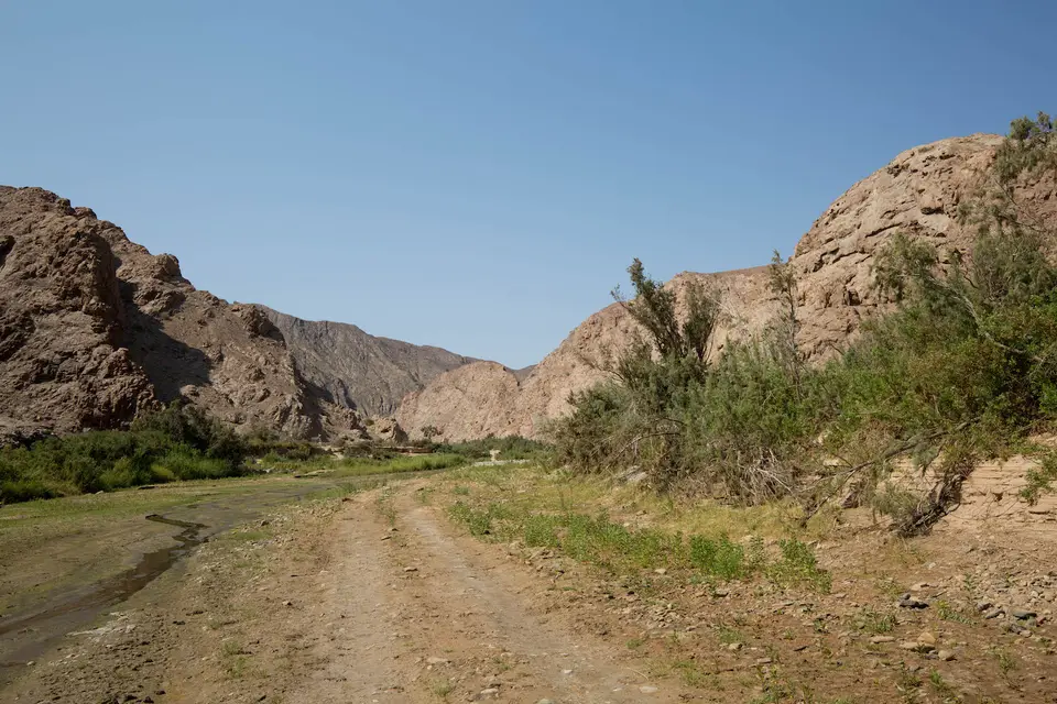 13-namiba-2017-8793.jpg