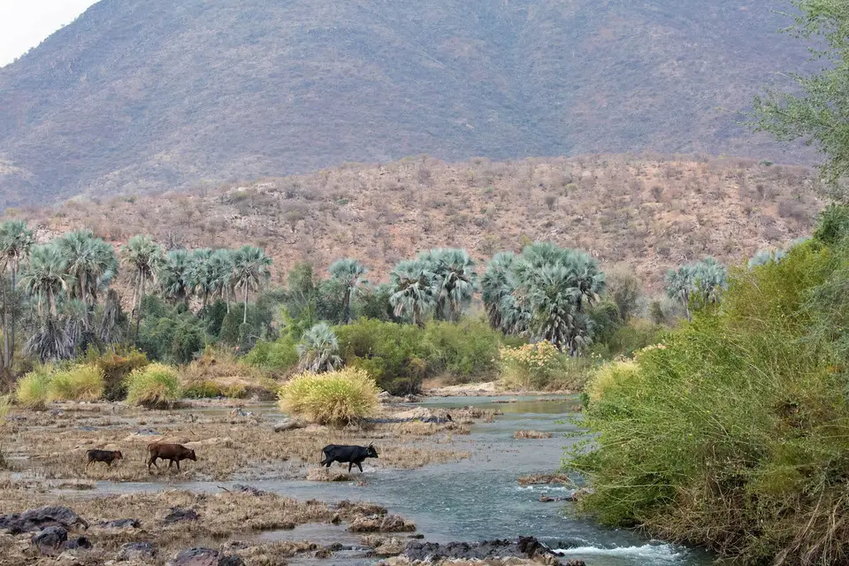 14-namiba-2017-9255.jpg
