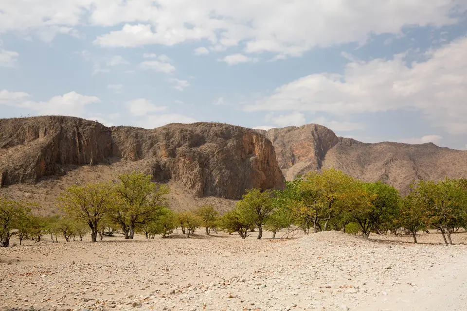19-namiba-2017-9416.jpg