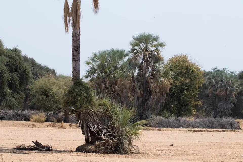 2-namiba-2017-5578.jpg