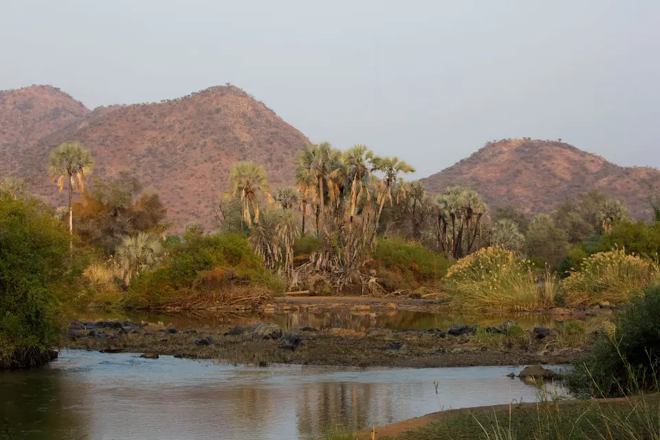 24-namiba-2017-9287.jpg