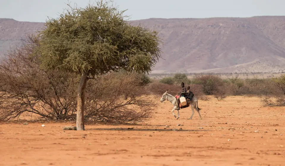 3-namiba-2017-5552.jpg