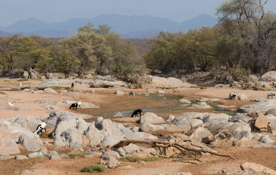 3-namiba-2017-5692.jpg