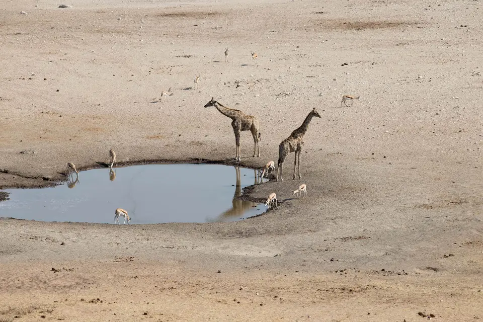 34-namiba-2017-5853.jpg