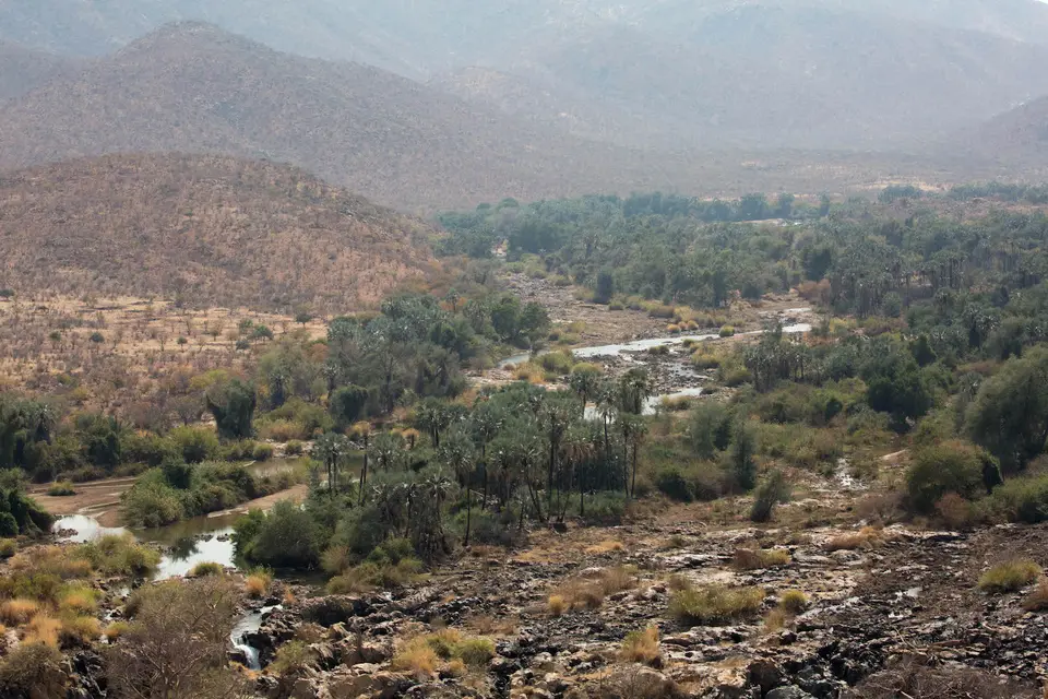 37-namiba-2017-9354.jpg