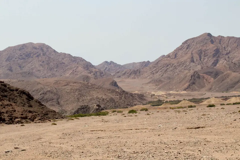 7-namiba-2017-5323.jpg