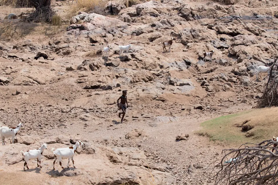 7-namiba-2017-5653.jpg
