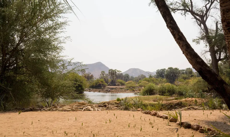 7-namiba-2017-9248.jpg