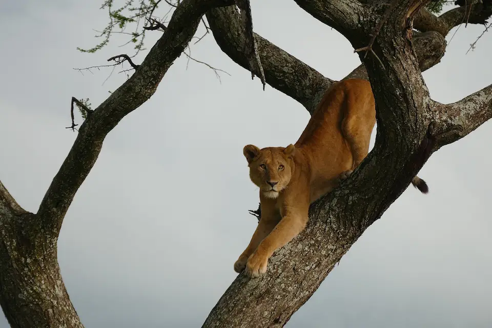 h524c161.JPG