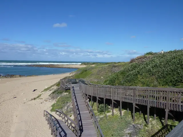 P1020246.JPG