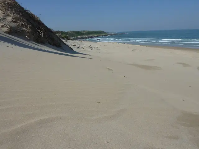 P1020446.JPG