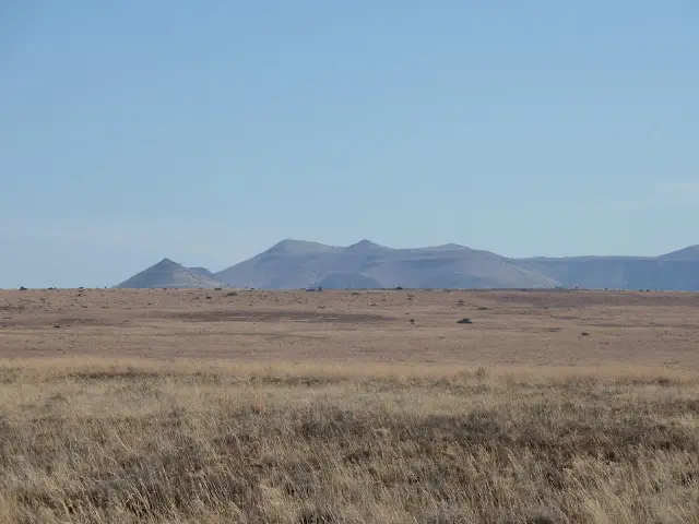 P1020590.JPG
