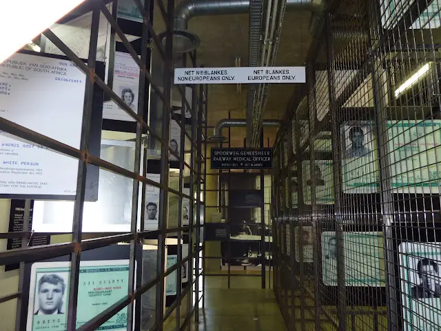 P1020796.JPG
