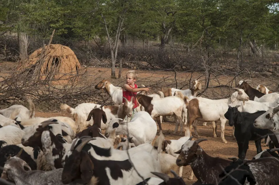 Milking-Goat02.jpg