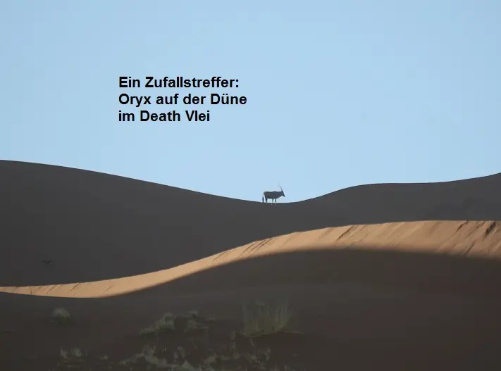 DeathVlei.jpg