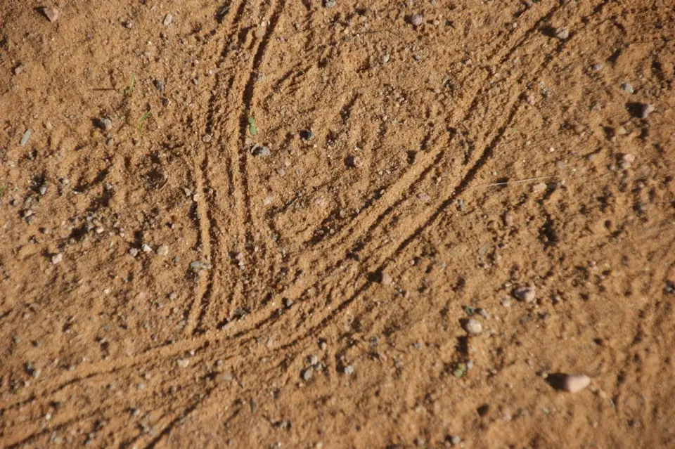 h49603c5.jpg