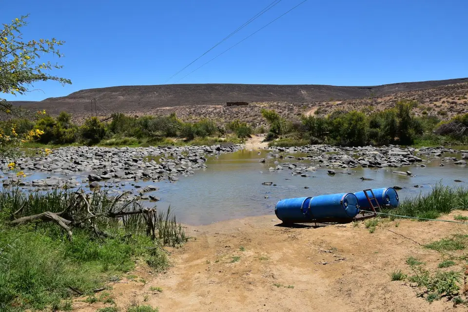 DSC_4135.JPG