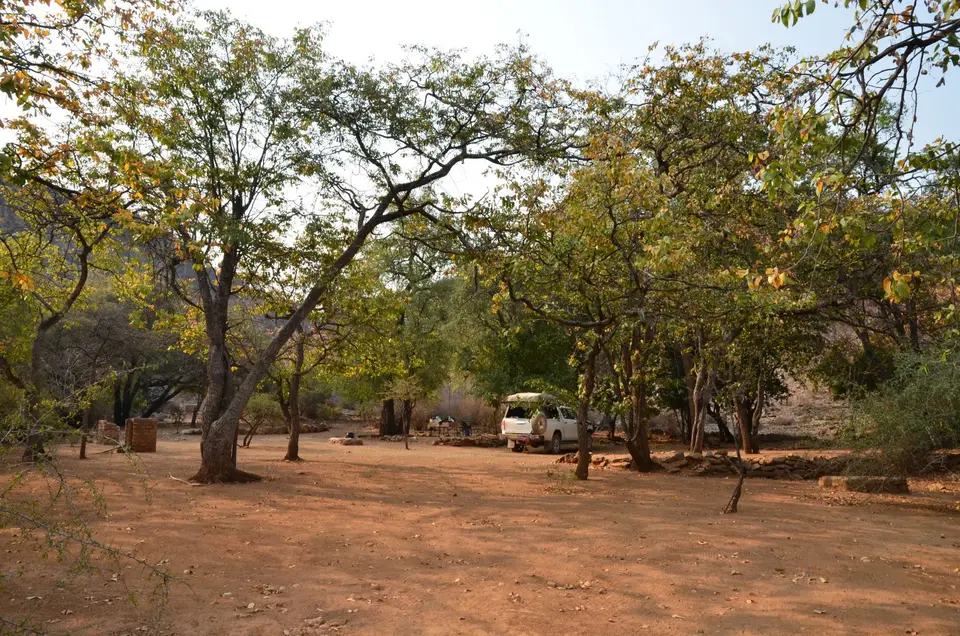 DSC_9491.JPG
