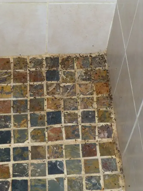 12-P1020784.JPG