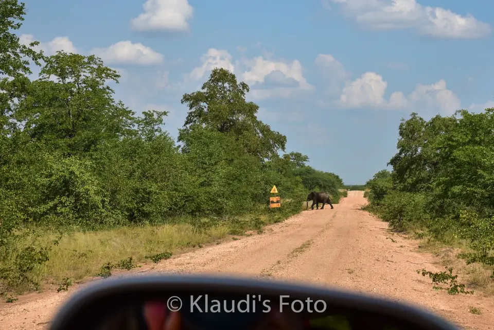 PKH_1017.jpg