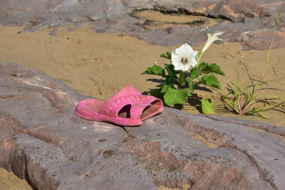 PKH_1197.jpg