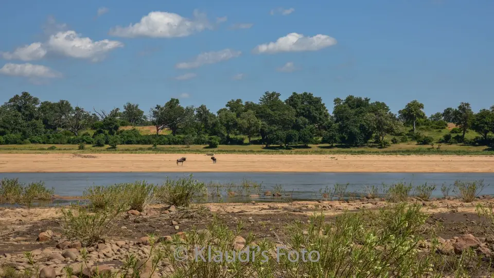 PKH_1307-2.jpg